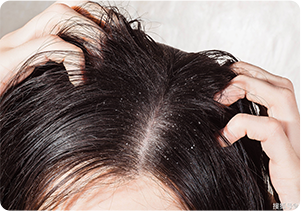 养发先养根：从&ldquo;土壤&rdquo;到&ldquo;树根&rdquo;，科学守护你的每一根秀